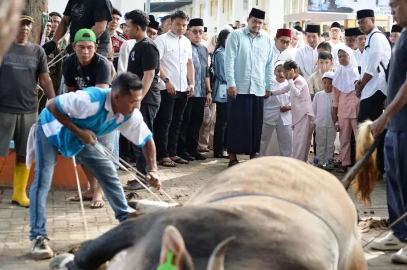 Gubernur Salat Iduladha Bersama Ribuan Warga Binjai, Pemprov Sumut Salurkan 167 Hewan Kurban