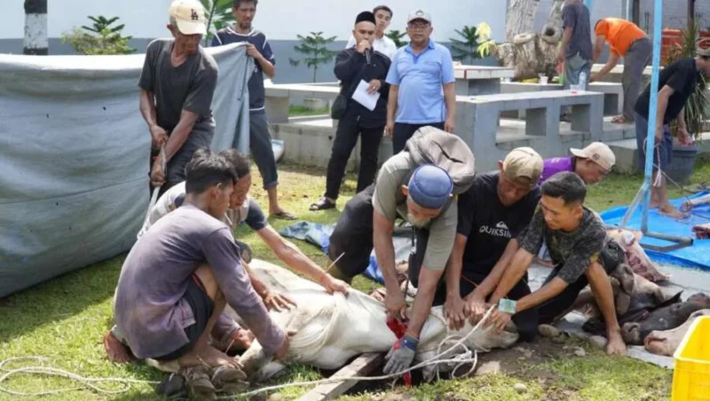 Rutan Medan Sembelih 11 Hewan Kurban, Warga Binaan Ikut Sholat Iduladha