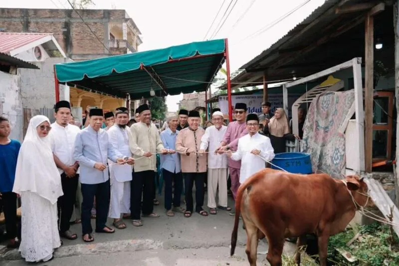 UMSU Salurkan 66 Hewan Kurban, dari Kampus Medan hingga Wilayah 3T